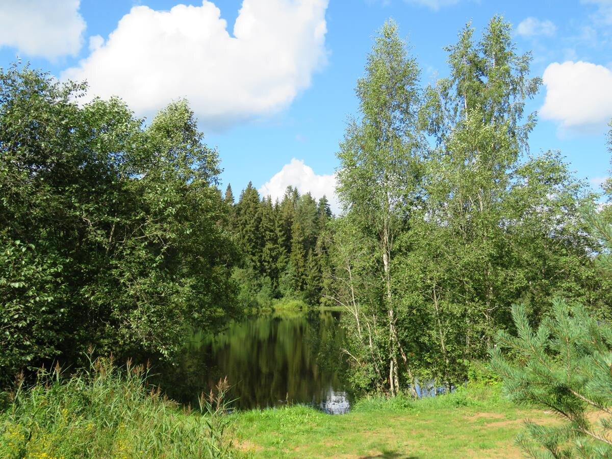 Валдай, Кобылино озеро, 2025, фото автора