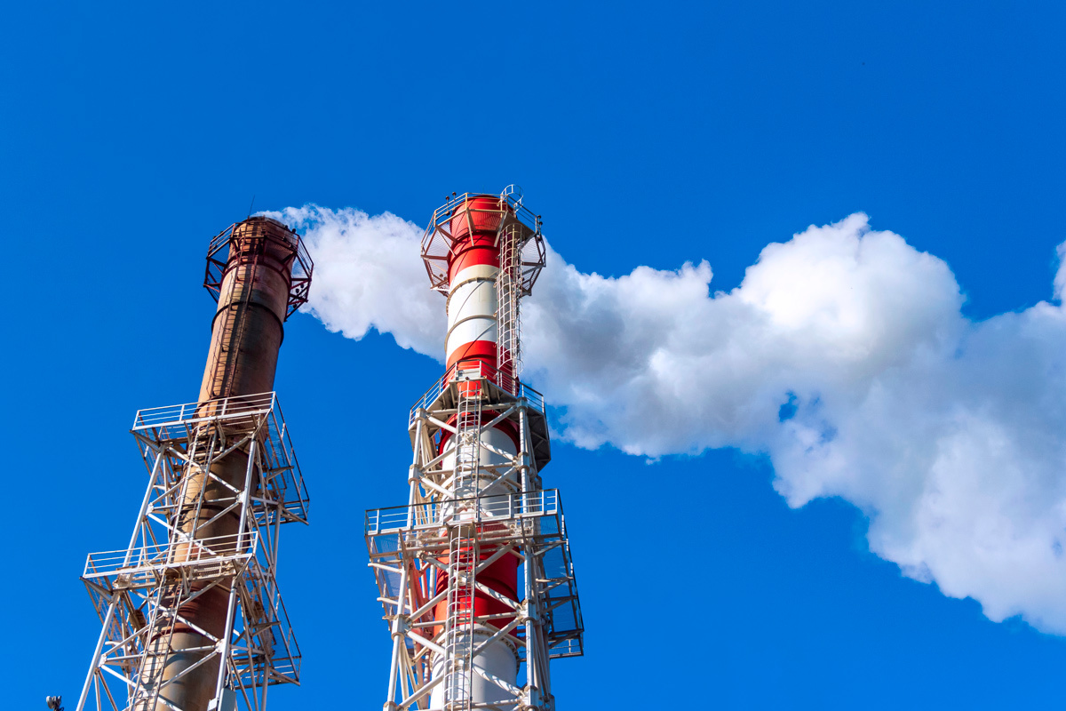    Фото: Urri / Shutterstock.com