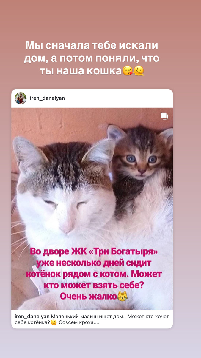 Маленькая Глафира и кот Валера 