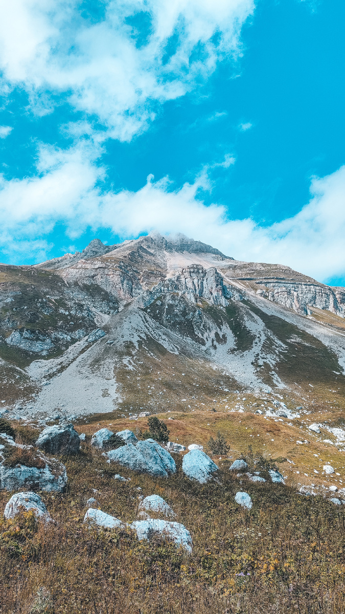 (Это моя любимая фотография)