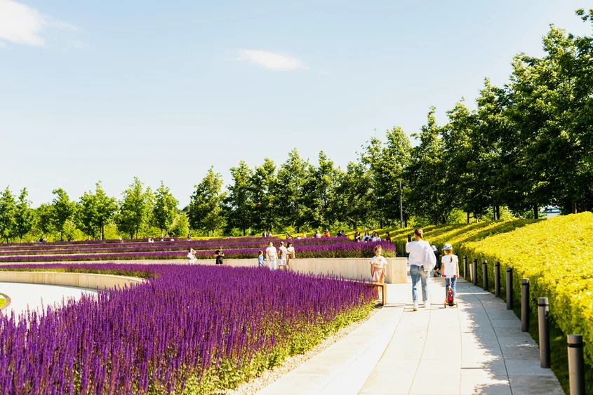 Фото: Oxana Melis / Unsplash