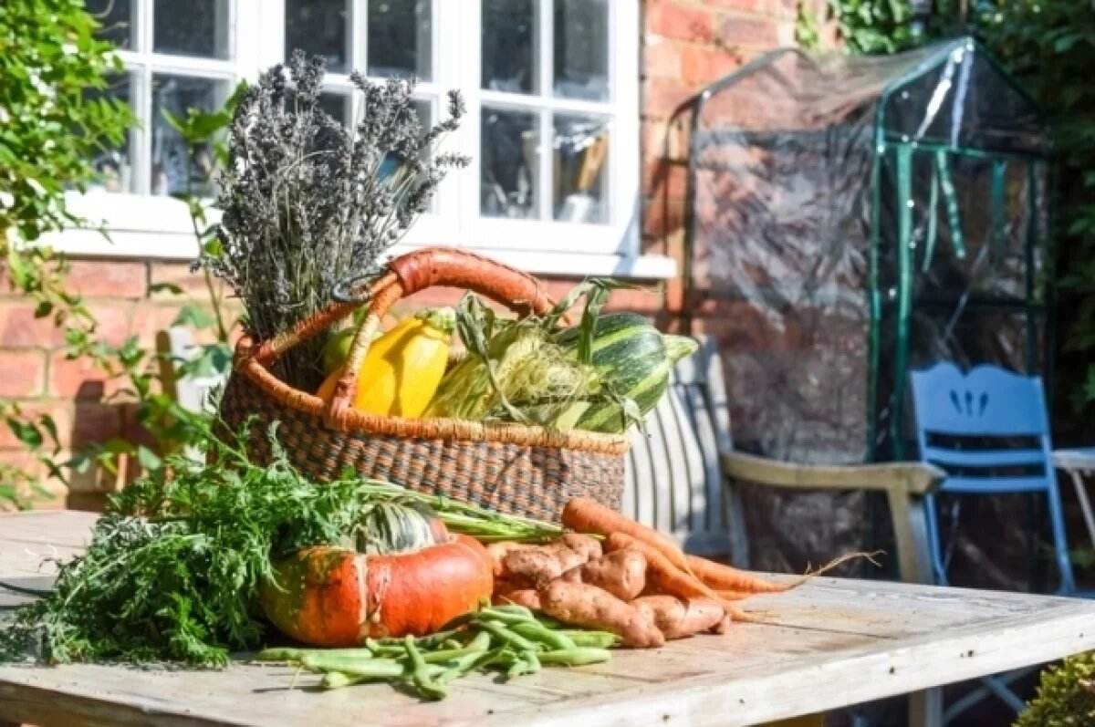    Просто так не выбросишь.