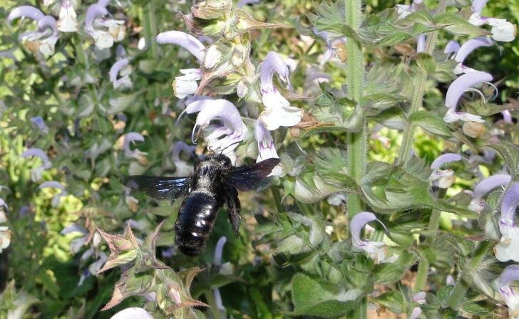    Фото Светланы Жердевой