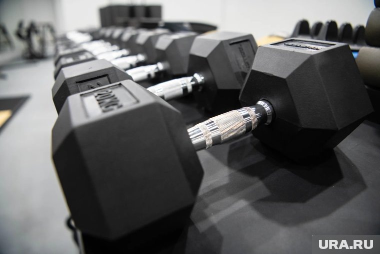    Тренажерные залы и фитнес-клубы Ноябрьска: где и на каких условиях заниматься спортом