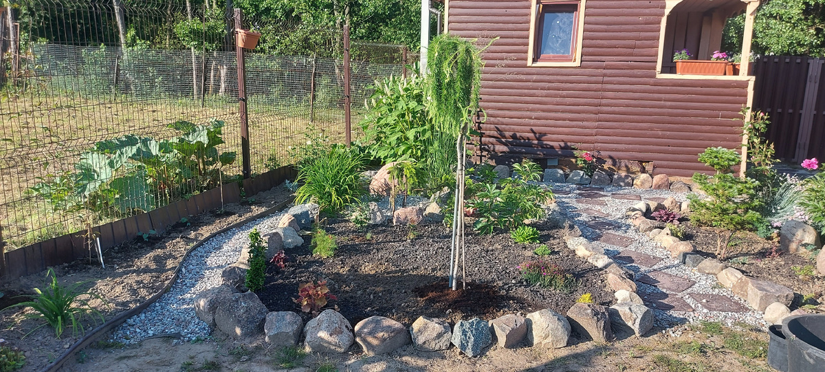 В год посадки Июнь 2023 год.