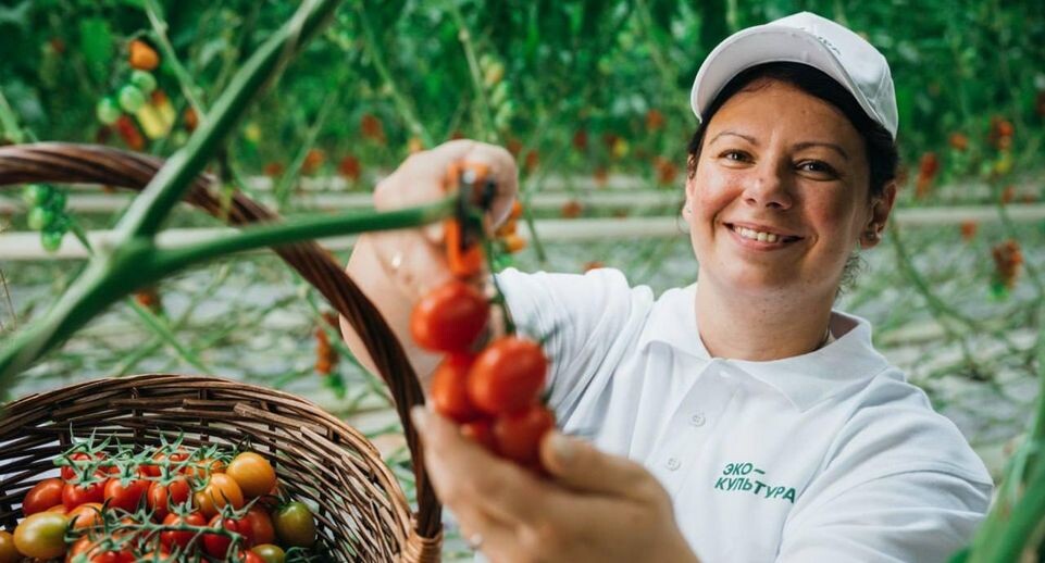    ЭКО-культура