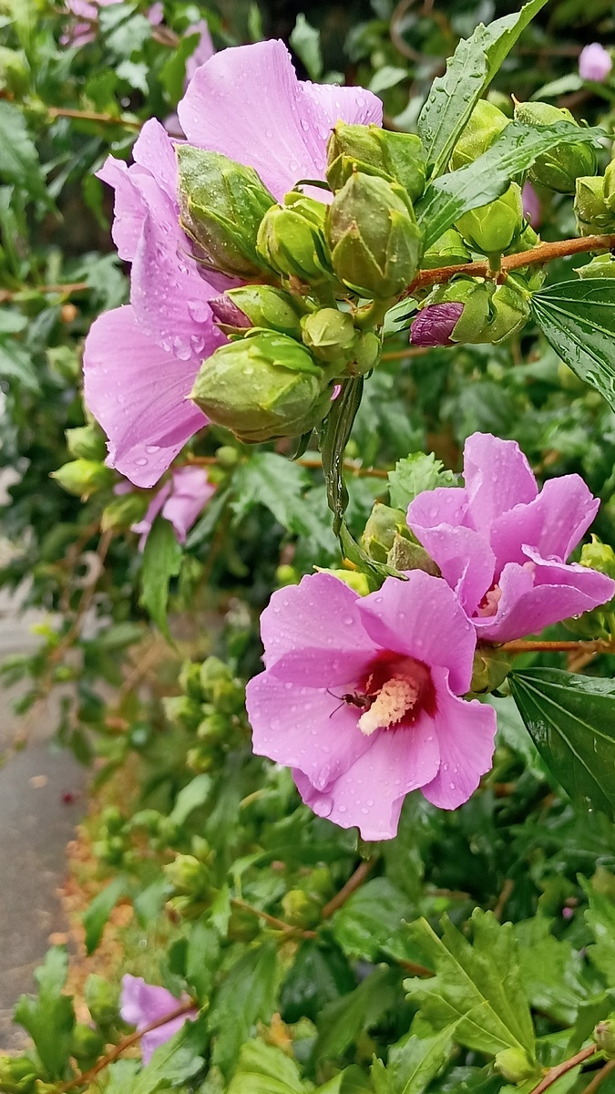 Здесь и далее - фото автора.
