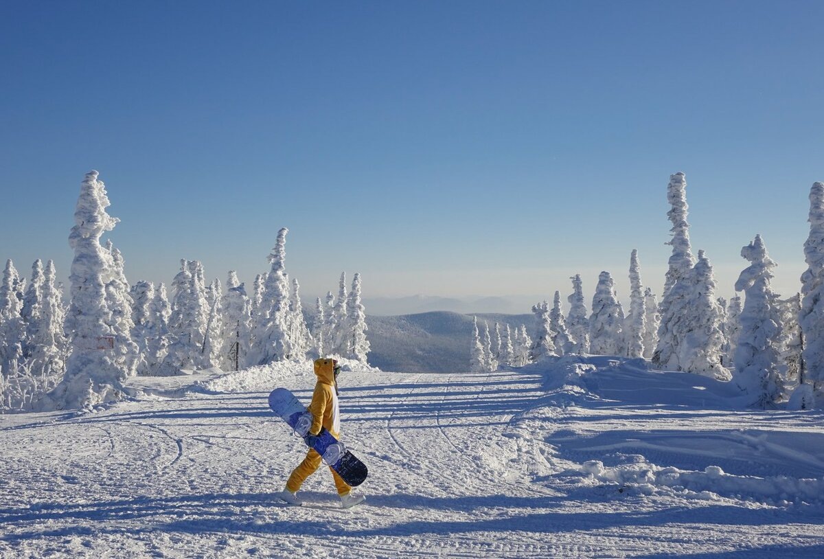 Фото из открытых источников 