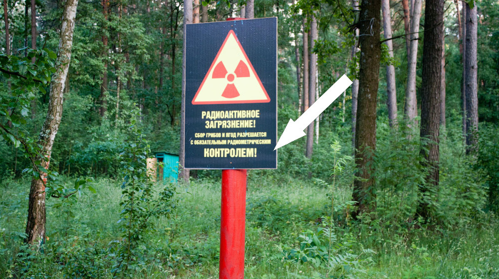    Радиоактивная тайна России: почему скрывают цезий-137 над нашими городами?