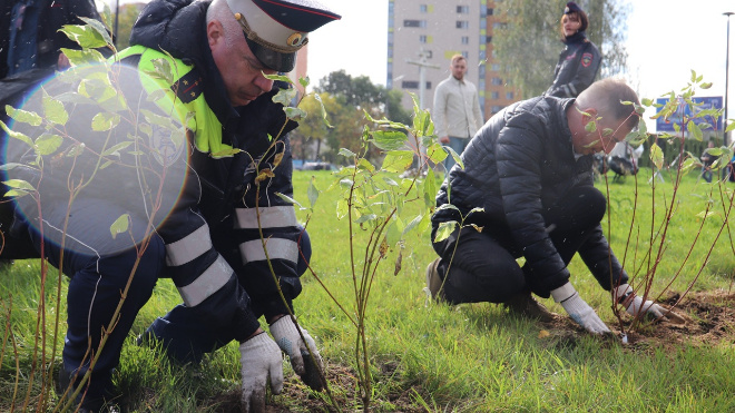 Фото: администрация города Кировск