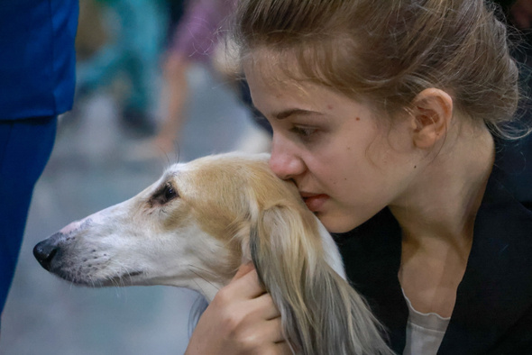    Владимир Гердо/ТАСС