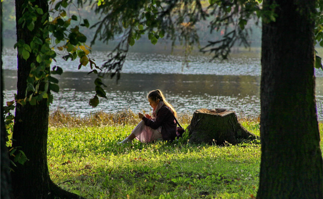    © Анастасия Илюшина / ЛенТВ24. Архивное фото