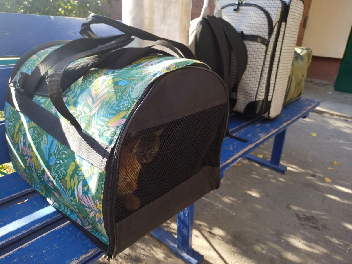 На переднем плане - бесценный груз.