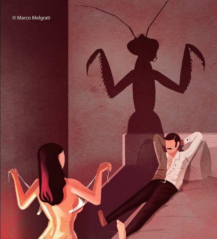 Источник Яндекс картинки