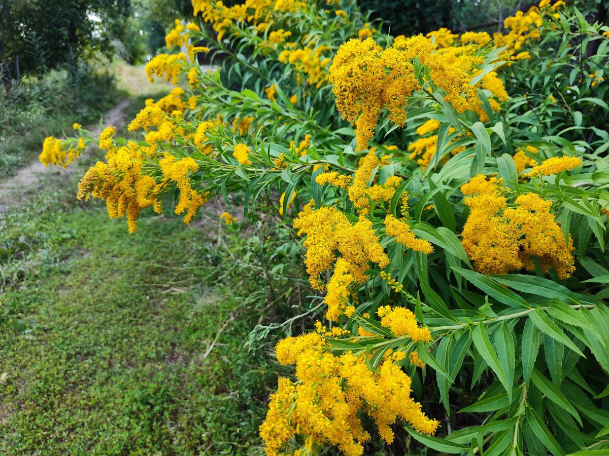 Фото автора.