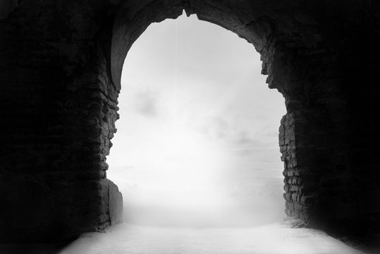 фото из интернета