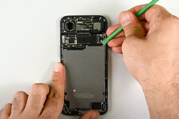    Фото: lenta.ru Олеся Шмелева