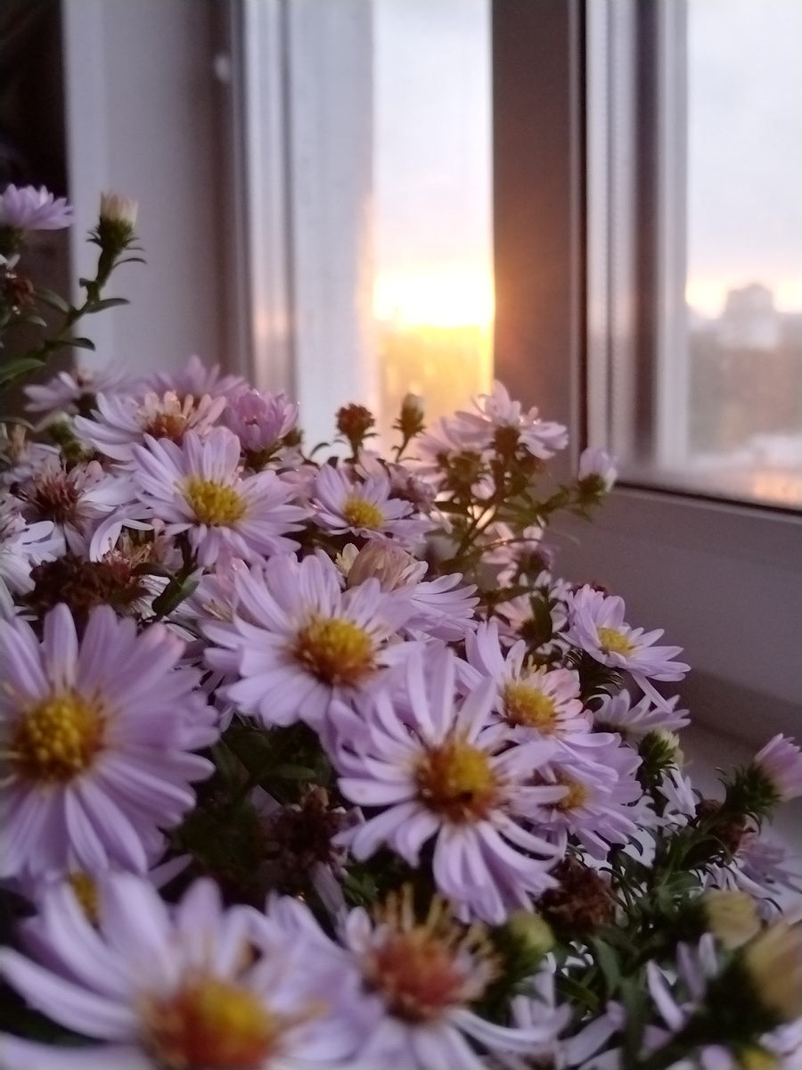 Фото из личного архива