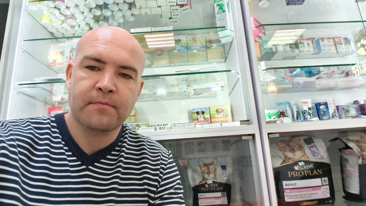 Кошачий корм по несколько тысяч рублей. Нынче даже кошку с трудом можно прокормить, не то что семью.