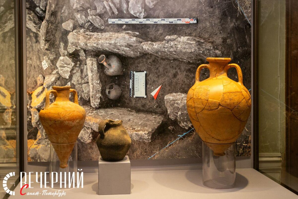 Фото: Олег Золото