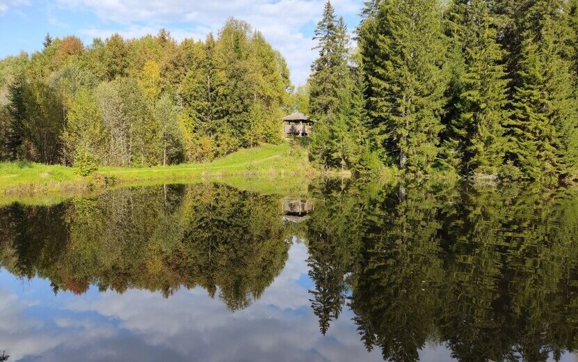   Погода в Ижевске на день: 24 сентября ждем дожди и похолодание до +15°С