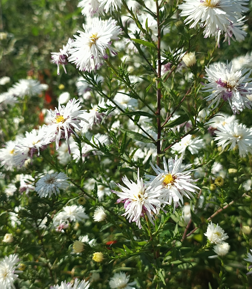 Фото автора статьи.