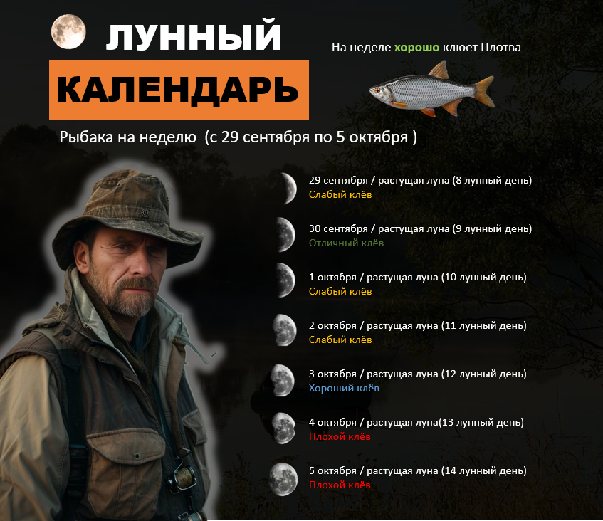 Первая неделя месяца 