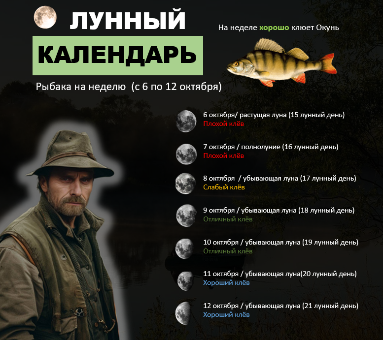 Вторая неделя месяца 