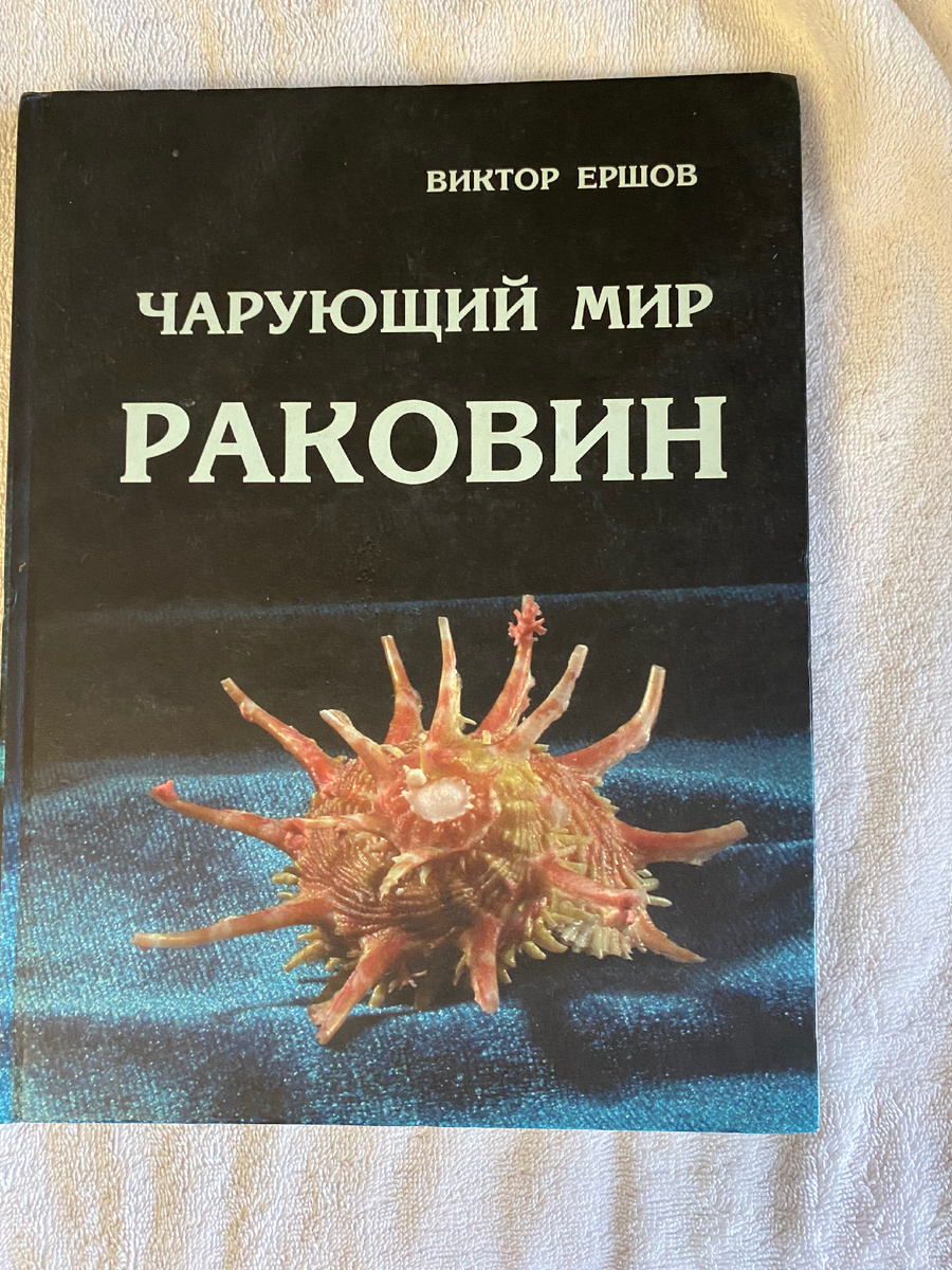 Фото  автора