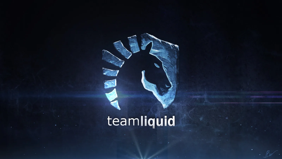 Источник: официальный сайт Team Liquid