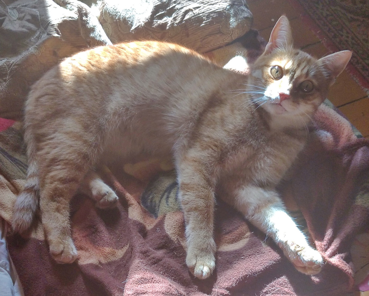 личное фото