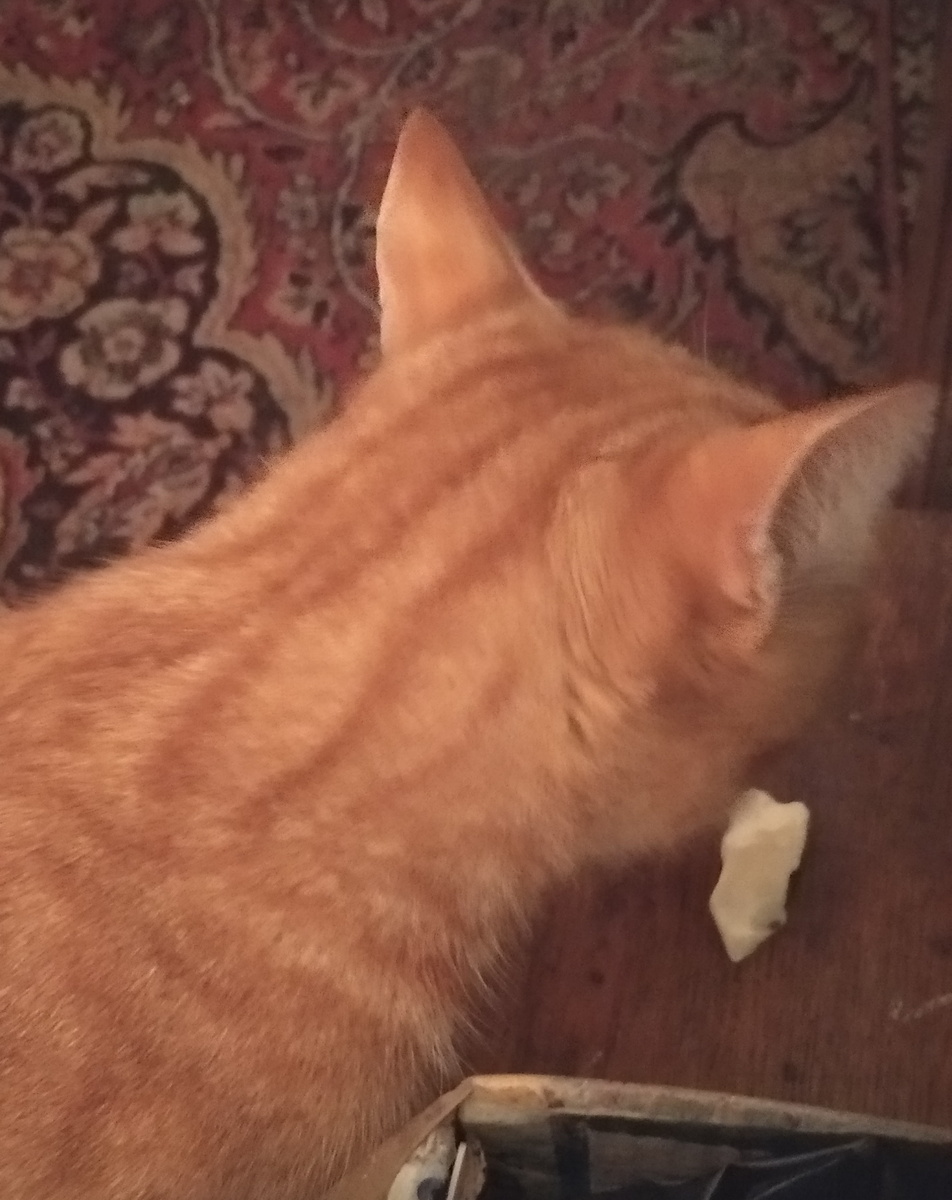 личное фото