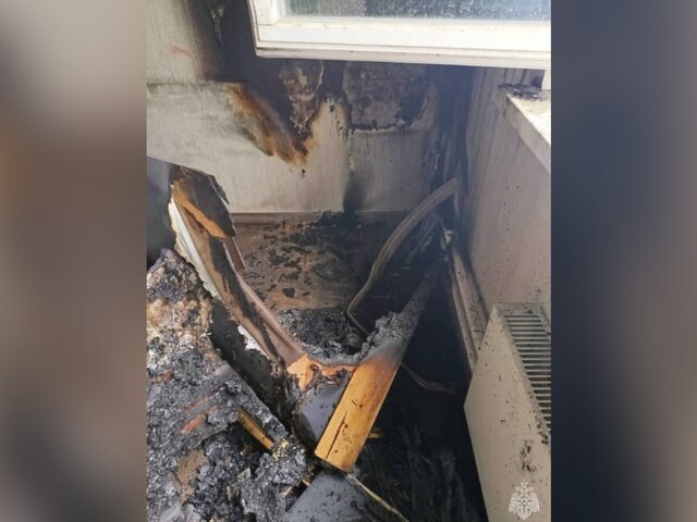    Фото: телеграм-канал "МЧС Московской области"