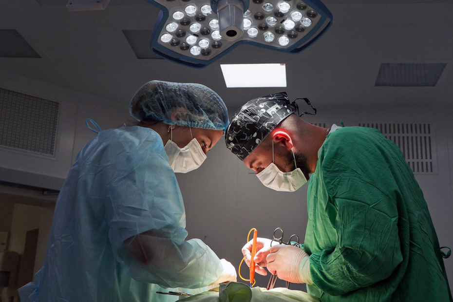    Алексей Белкин/NEWS.ru