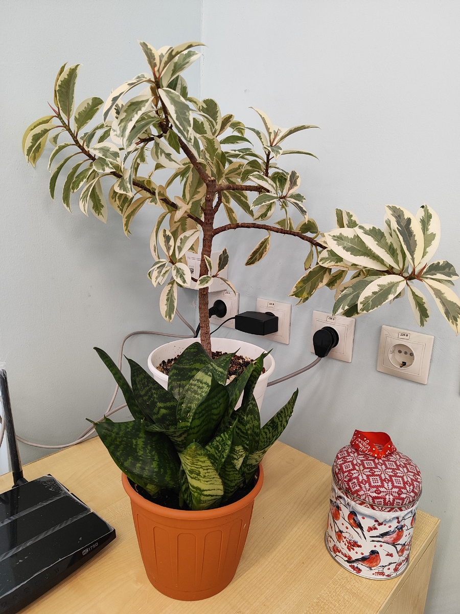 Какое нашлось.