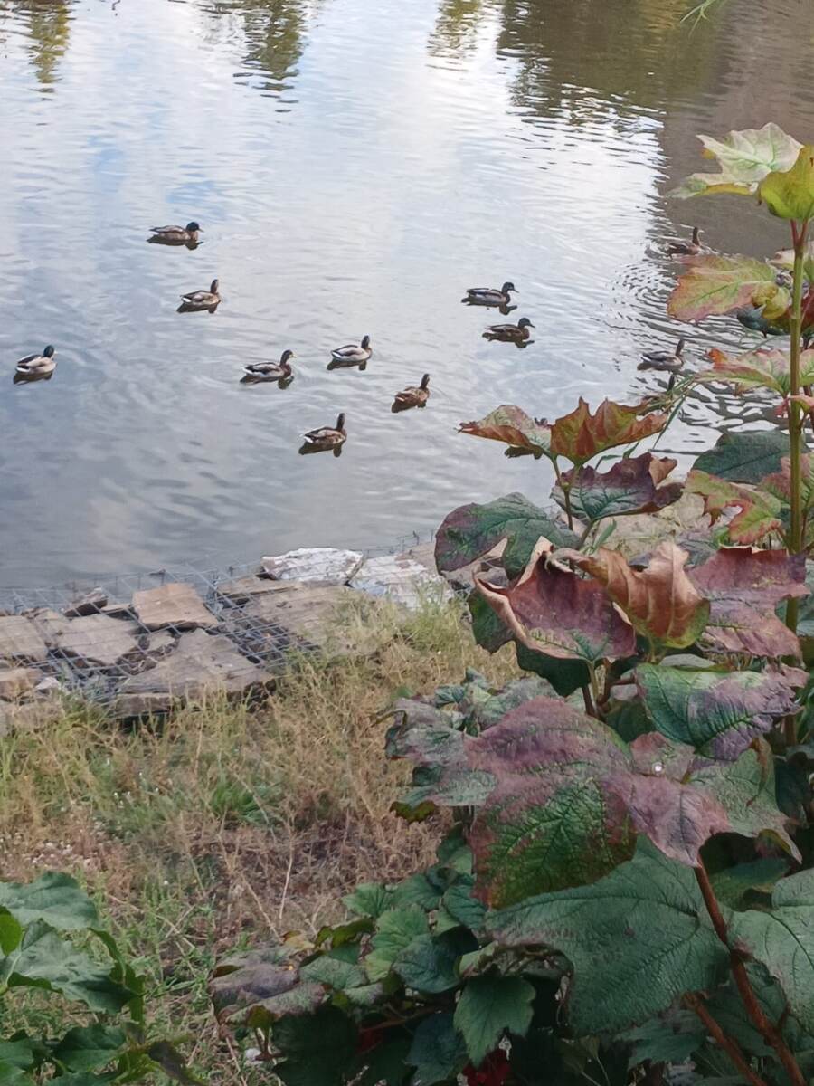 Фото автора Осень на Юге