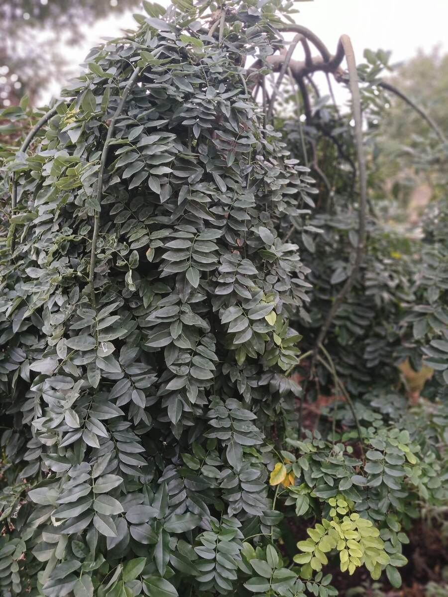 Фото автора Осень на Юге