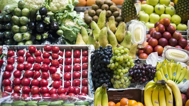    Фото: Евгений Биятов, источник: ria.ru