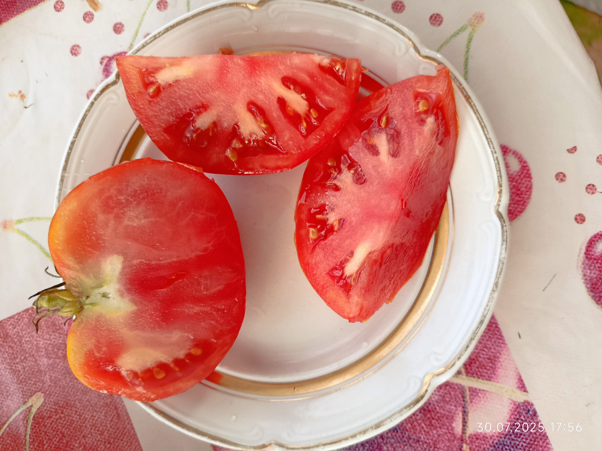 Дата фото 30 июля