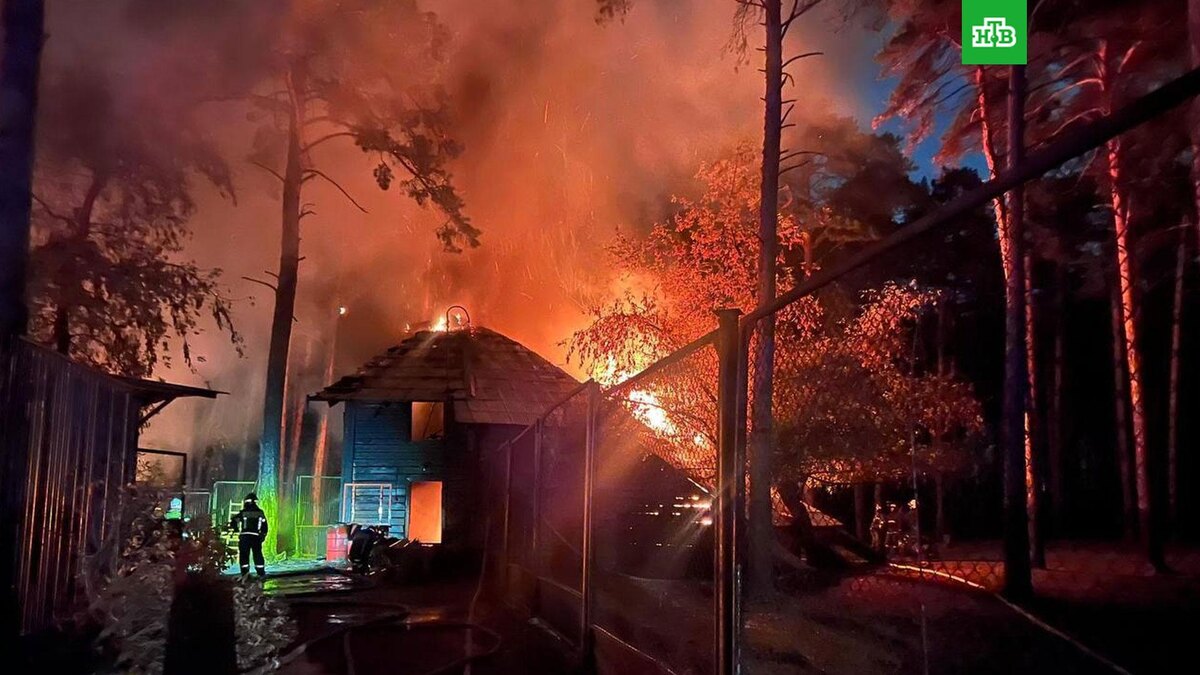    Фото: @prokuratura_nso / t.me