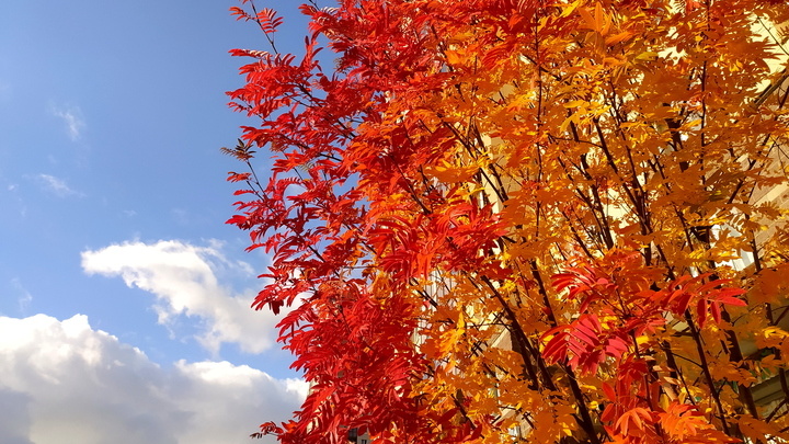 Изображение из открытых источников