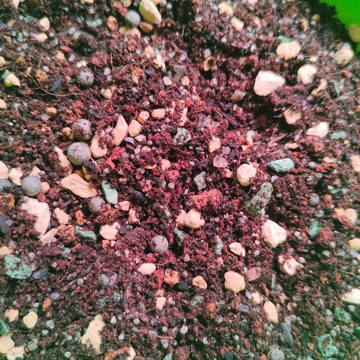 Рисунок 2 - Почва.