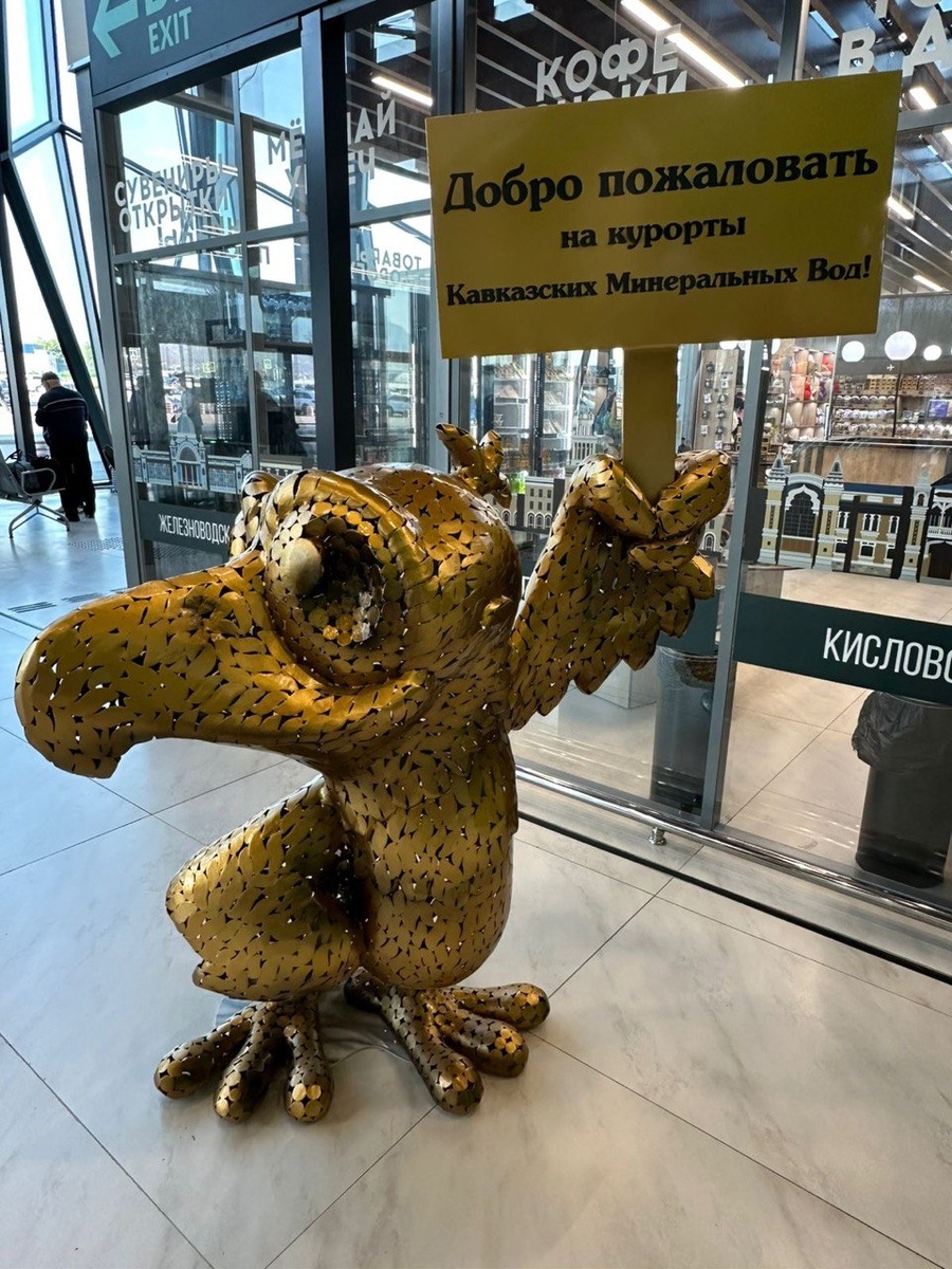 Символ аэропорта Минеральных Вод - Орлик