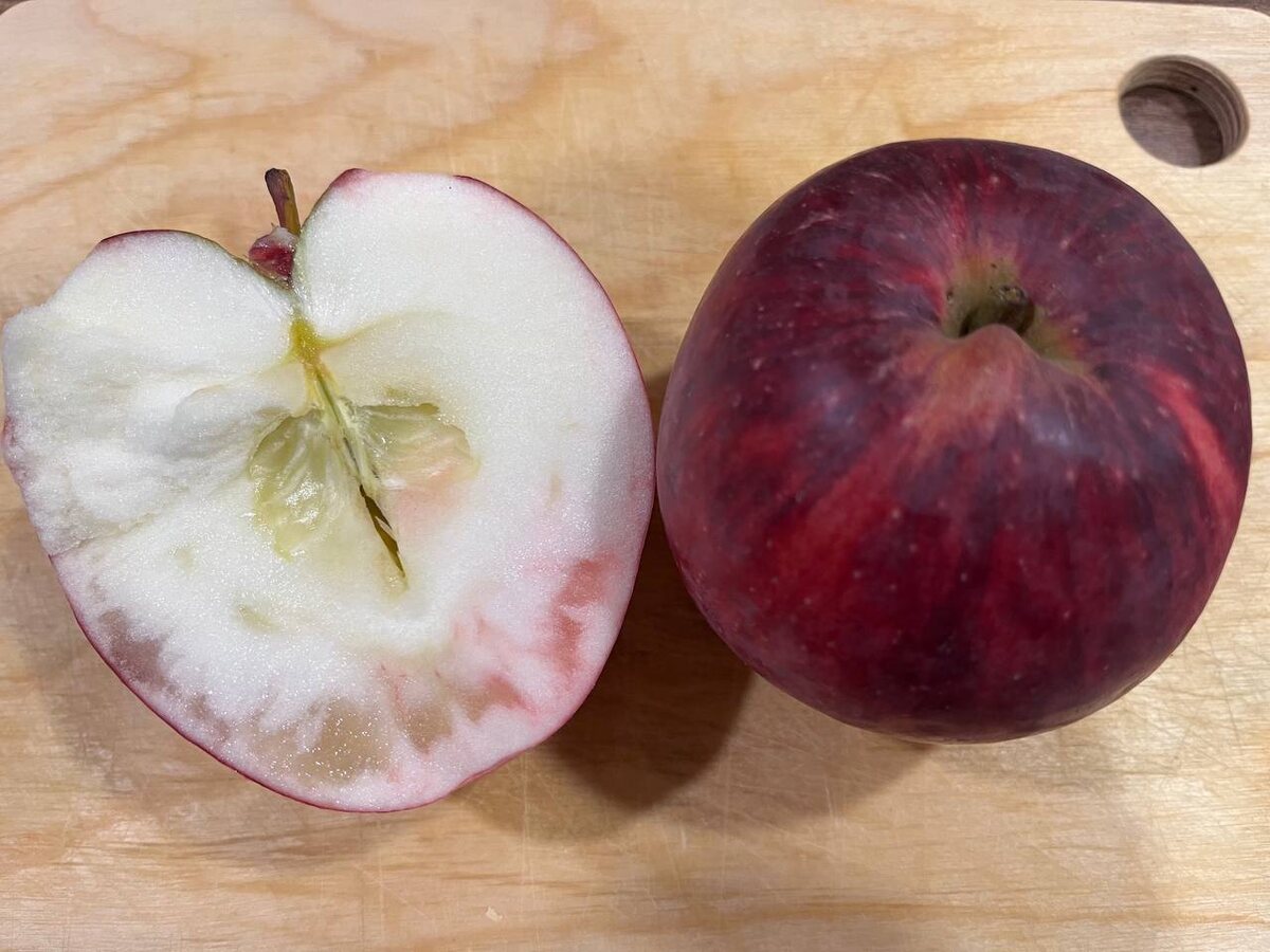 🍎🍎🍎Многие из нас ещё с детства помнят выражение - наливные яблоки. Сейчас речь пойдет именно о них.Повышенная концентрация клеточного сока в яблоках называется стекловидностью или наливом.Согласно современным стандартам – это дефект, так как такие яблоки не подходят для оптовой торговли – они плохо хранятся и быстро портятся. 😞✔️При этом из-за налива #яблоки приобретают особый вкус, они очень сладкие. Если вам посчастливилось приобрести такие яблоки – вам повезло! 😉✔️Употреблять их можно, пока налив имеет прозрачную структуру (как на фото).❗️В процессе хранения в месте налива яблоко темнеет и постепенно начинается процесс гниения, яблоки становятся непригодными к употреблению.Кстати, этими яблоками нас угостила подписчица, за что ей большое спасибо! 👍