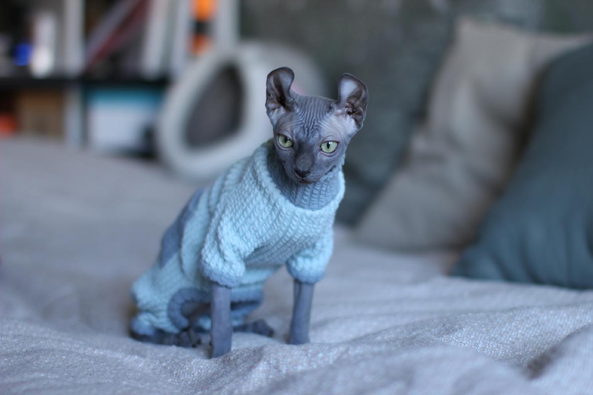 Эль в любимом хлопковом комбинезоне