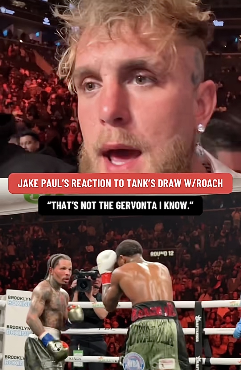 Джейк Пол о Джервонте: «Это не тот Танка, которого я знаю»