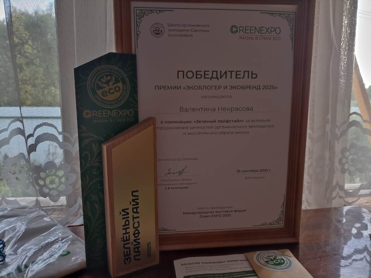 Статуэтка и письмо о награждении. Фото автора