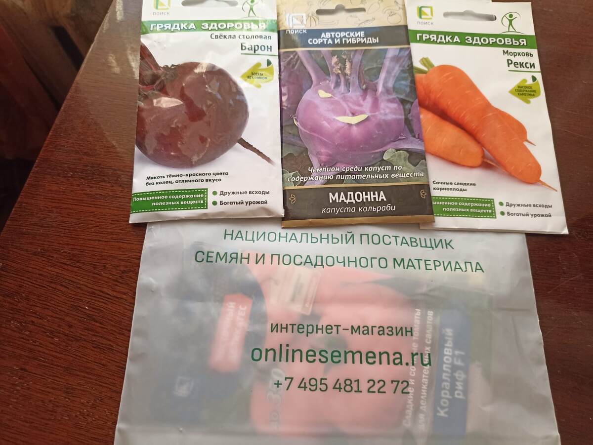 Семена моркови, свёклы и капусты кольраби. Фото автора