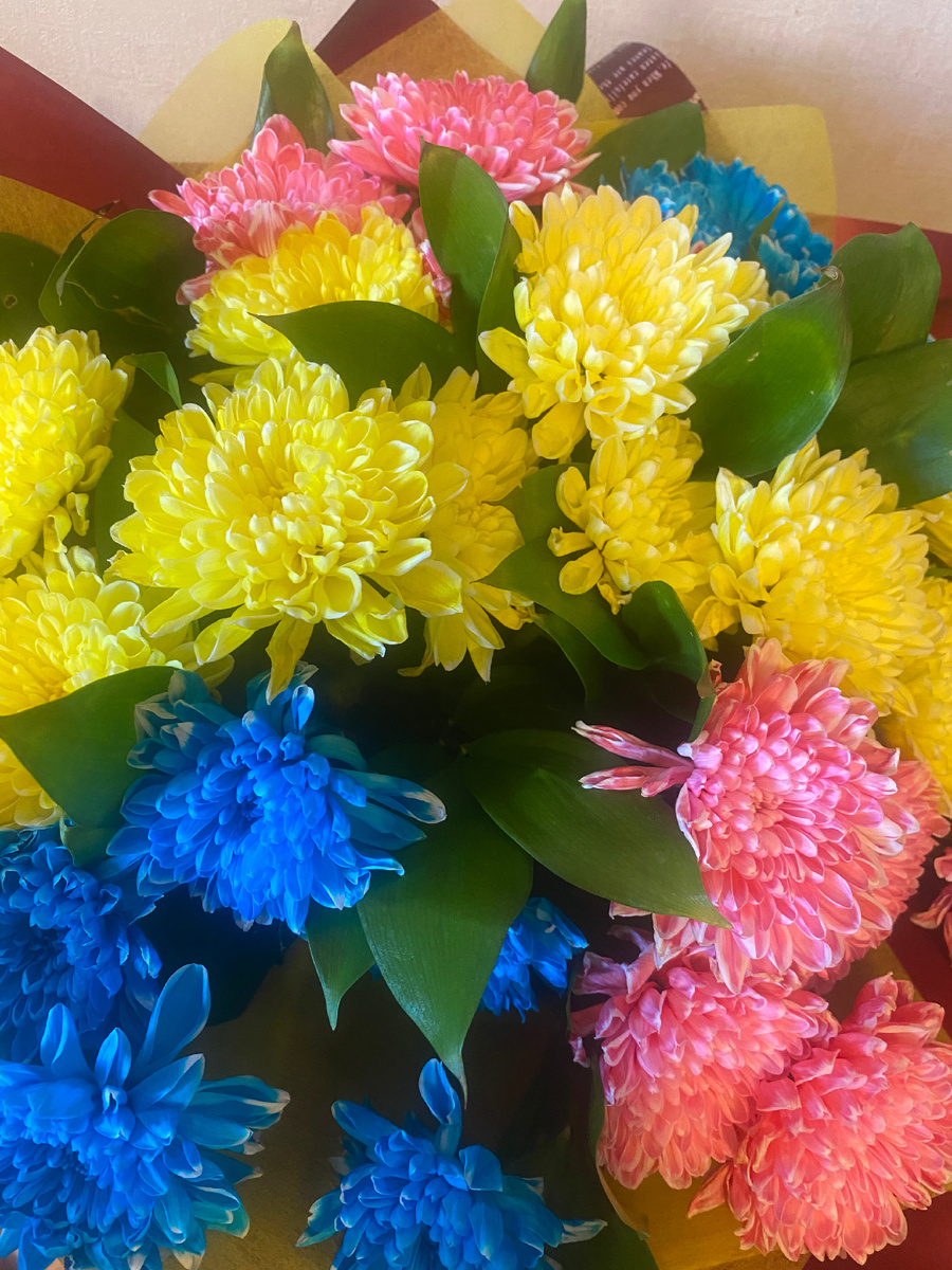 Фото автора Ласточка весною