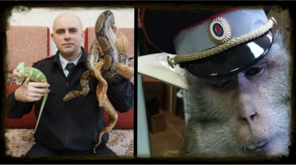 Фото КП: Светлана Маковеева 